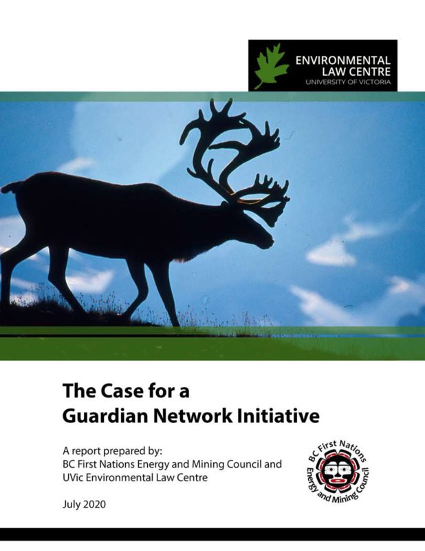 Case for a Guardian Network Initiative 