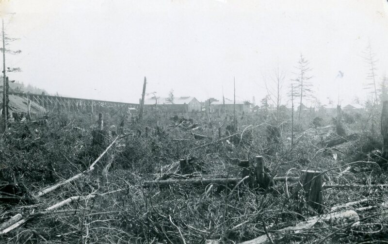 Black and White photo of cleared field adjacent to dam