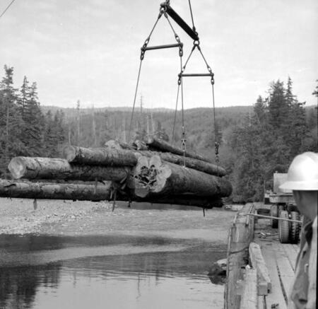 Black and White Photo of a crane lifting logs
