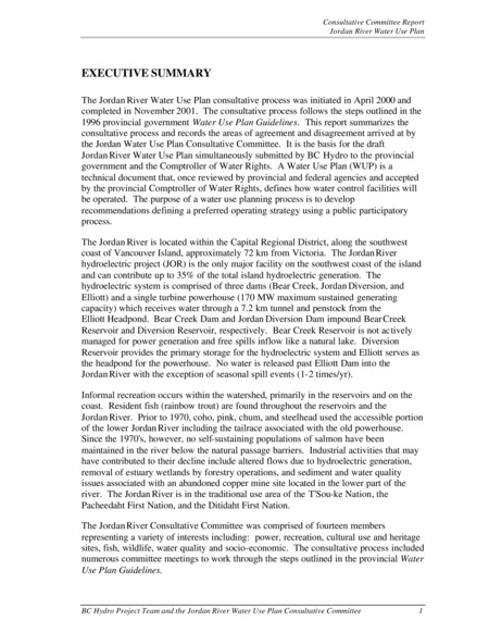 Consultative Committee Report: EXECUTIVE SUMMARY