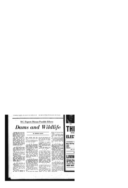 Dams and Wildlife