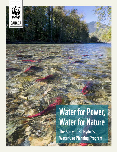Water for Power, Water for Nature The Story of BC Hydro’s Water Use Planning Program